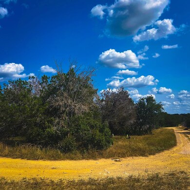 163 Angus Trail unit 1, Canyon Lake, TX 78070 - photo 4