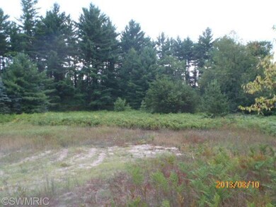 8685 Kaleva St, Kaleva, MI 49645 - photo 2