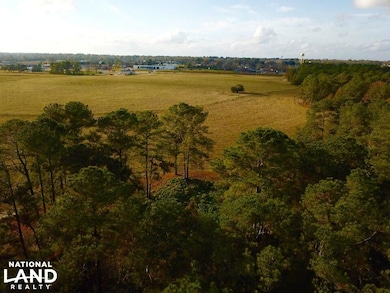 0 N Hwy 431 unit 22459364, Headland, AL 36345 - photo 3