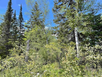 XXXX Murray Forest Rd, Breitung Township, MN 55731 - photo 3