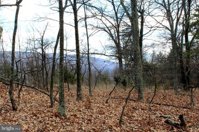 LOT 194 Lockinger Ridge Rd, Old Fields, WV 26836 - photo 4