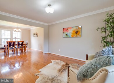 4336 Cub Run Rd, Chantilly, VA 20151 - photo 5