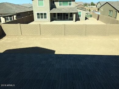 back yard