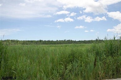 102 Tyler Rd, Ocean View, NJ 08230 - photo 5