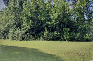 TBD Jungle Rd, Conway, SC 29526 - photo 4