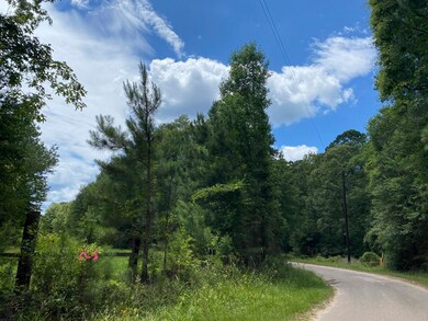 0 Mill Creek Rd unit 7001759, Huntington, TX 75949 - photo 2