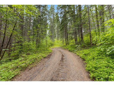 51 Carr Rd, Trout Lake, WA 98650 - photo 3