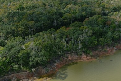 0 County Road 400 unit 7151374, Brazoria, TX 77422 - photo 7