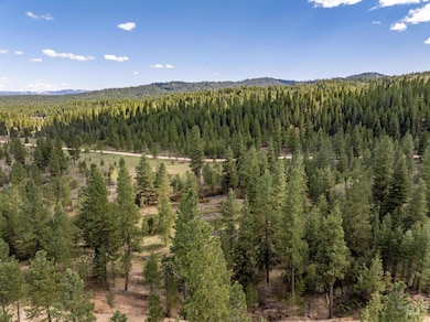 Lot 10 Star Creek Ct, Placerville, ID 83631 - photo 2