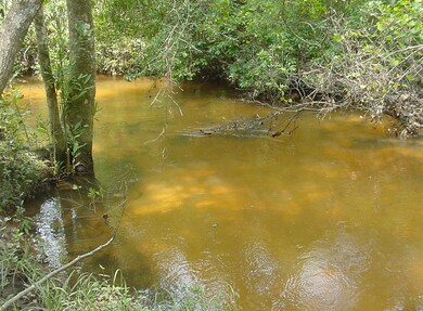 More Pictures of Creek at Back of Lot