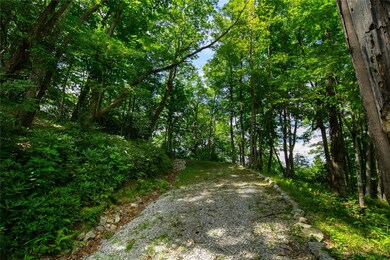 618 Nix Mountain Rd, Sapphire, NC 28774 - photo 6