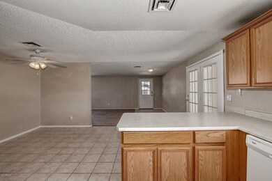 1620 W Palomino Dr Chandler (4)