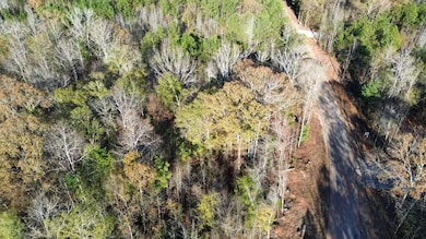 Tract B Lee Road 345, Salem, AL 36874 - photo 2