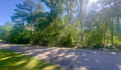 000 Woodlands Trace, Hattiesburg, MS 39402 - photo 5