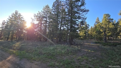 0 Chubb Ct unit 16 REC7856503, Buena Vista, CO 81211 - photo 3
