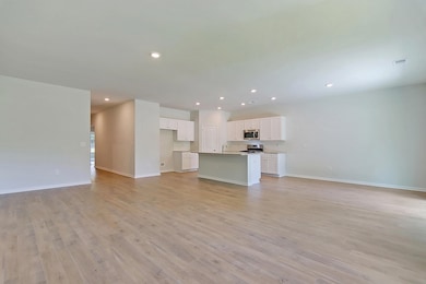 Family Room into Kitchen