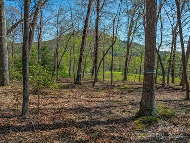 550 Walnut Valley Pkwy unit LOT 153, Arden, NC 28704 - photo 7