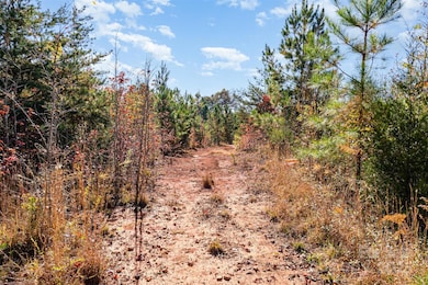 13562 Smithford Rd, Hickory Grove, SC 29717 - photo 5