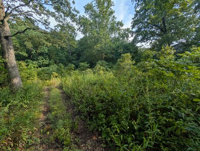 Lot 9 Azalea Ln, Ruth C Township, MO 65737 - photo 4
