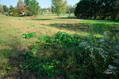 3240 Rauschenberg Rd NW, Dalton, GA 30721 - photo 3