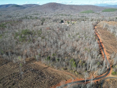 1275 Salem Rd, Schuyler, VA 22969 - photo 2