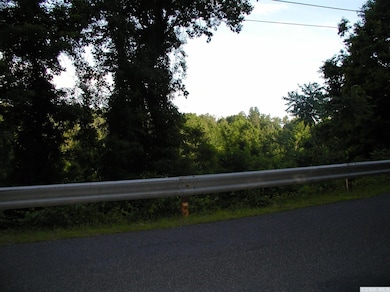 0 Leeds Athens Rd unit 110052, Athens, NY 12015 - photo 5