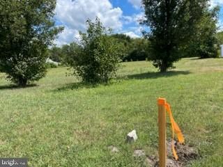 Lot # 22 Bi-State Blvd, Laurel, DE 19956 - photo 2