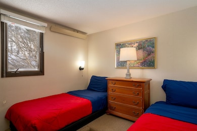 2 Byington Ln unit 5, Winhall, VT 05340 - photo 6