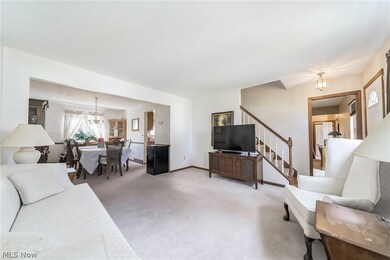 9752 Wainwright Terrace, Olmsted Falls, OH 44138 - photo 7