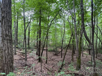 0 Quail Ridge Rd unit 216 CAR4270788, Lake Lure, NC 28746 - photo 4