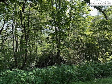 TBD Camden Ln, Blowing Rock, NC 28605 - photo 4