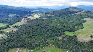 25XX Burgess Rd unit Parcel A, Addy, WA 99101 - photo 2