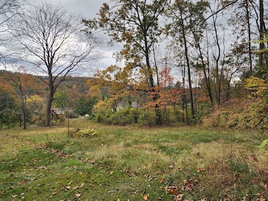 12522 Turkey Farm Rd, Huntingdon, PA 16652 - photo 6