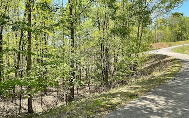 Additional View