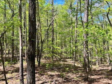 0 Weoka Rd unit 24327698, Wetumpka, AL 36092 - photo 2