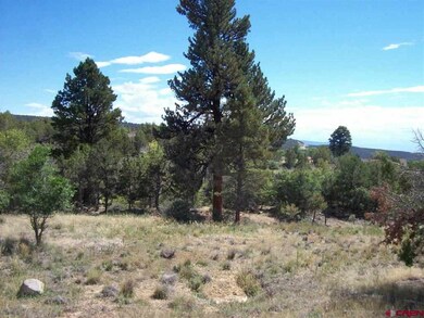0 NE Ginters Grove Ln unit 684871, Cedaredge, CO 81413 - photo 3