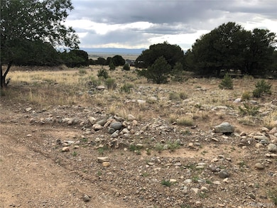 3386 Genial Way, Crestone, CO 81131 - photo 2