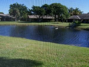 Lake view