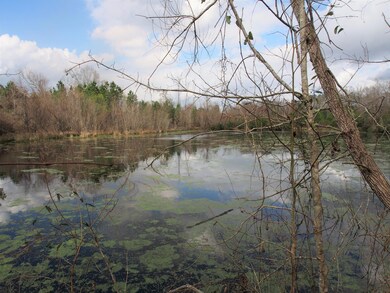 pond 7 (2)