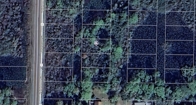 1307 NE 1st St, Carrabelle, FL 32322 - photo 2