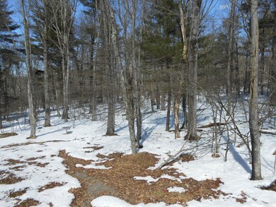 103 Water View Dr, Hawley, PA 18428 - photo 3