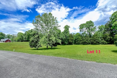 Lot 11
