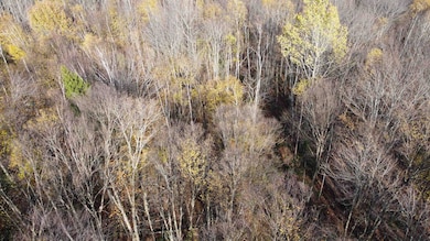 2098 Kinney Hill Rd, Newark, VT 05871 - photo 3