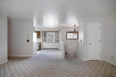 Main Level Living Area/Dinina Area