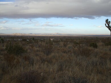 00 SE Bob Gap Rd, Llano, CA 93544 - photo 5