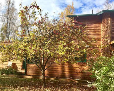 Deer_Park_Crabapple_Tree