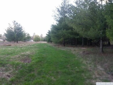 811 van Hoesen Rd, Castleton On Hudson, NY 12033 - photo 4