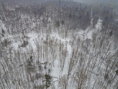 Lot 2 Mason Hill N, Starksboro, VT 05487 - photo 7