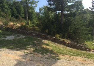 back yard 2
