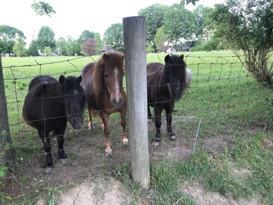 2204 Coldharbor Ct, Lewis Center, OH 43035 - photo 3